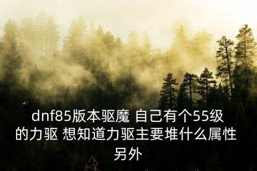 dnf85版本驱魔 自己有个55级的力驱 想知道力驱主要堆什么属性 另外