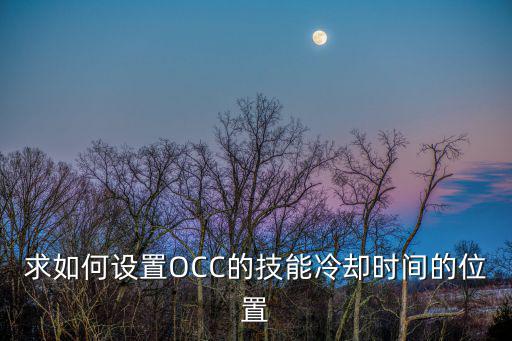 手游诺克萨斯技能时间怎么调，求如何设置OCC的技能冷却时间的位置