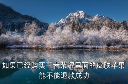 如果已经购买王者荣耀里面的皮肤苹果能不能退款成功