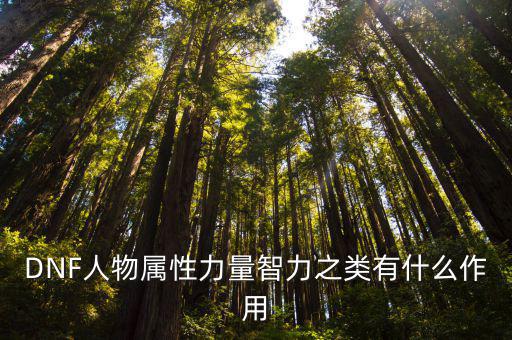 DNF人物属性力量智力之类有什么作用