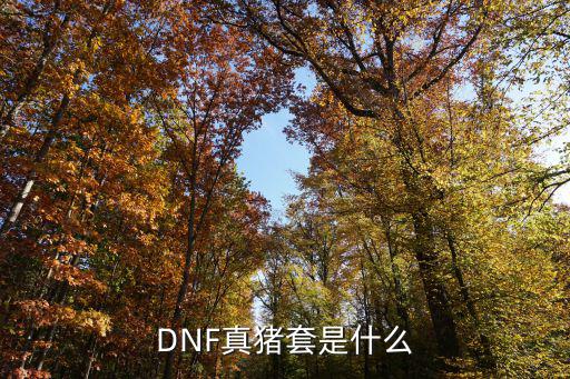 DNF真猪套是什么