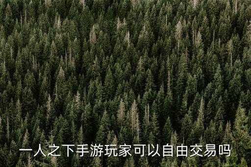 一人之下手游玩家可以自由交易吗