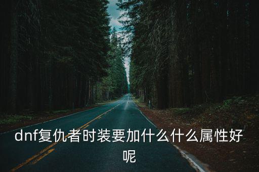 dnf 复仇者用什么属性，dnf复仇者时装要加什么什么属性好呢