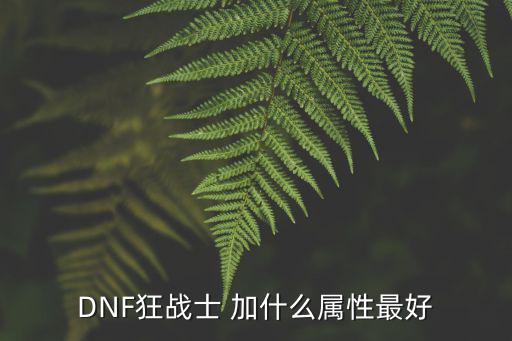 DNF狂战士 加什么属性最好