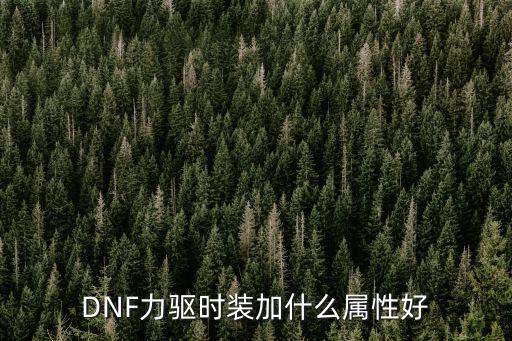 DNF力驱时装加什么属性好