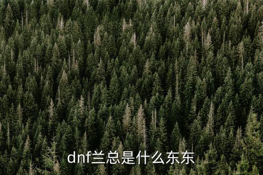 dnf兰总是什么东东