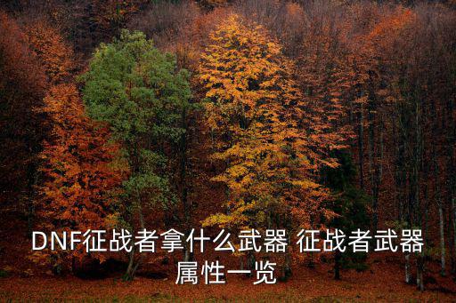 DNF征战者拿什么武器 征战者武器属性一览