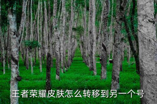 王者荣耀皮肤怎么转移到另一个号