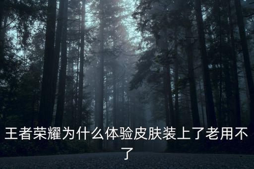 王者荣耀为什么体验皮肤装上了老用不了