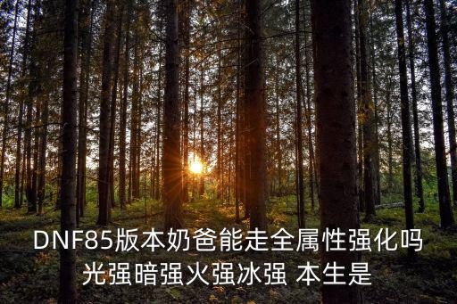 DNF85版本奶爸能走全属性强化吗光强暗强火强冰强 本生是