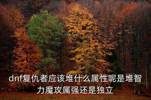 dnf复仇者应该堆什么属性呢是堆智力魔攻属强还是独立