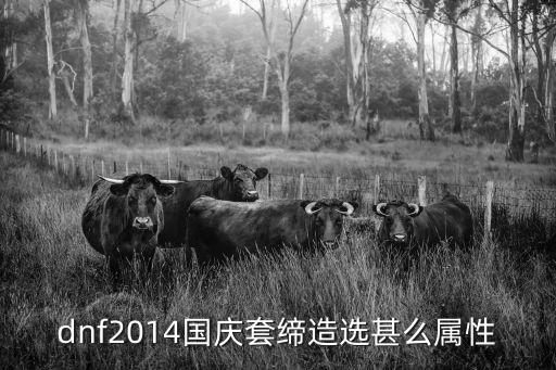 dnf超能战队套什么属性，dnf2014国庆套缔造选甚么属性
