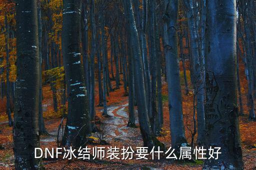 dnf冰结师吃什么属性，DNF冰结师装扮要什么属性好