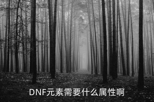 dnf黑鸦元素什么属性，DNF有哪些元素属性