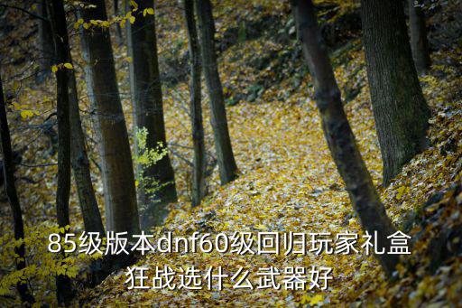 85级版本dnf60级回归玩家礼盒狂战选什么武器好