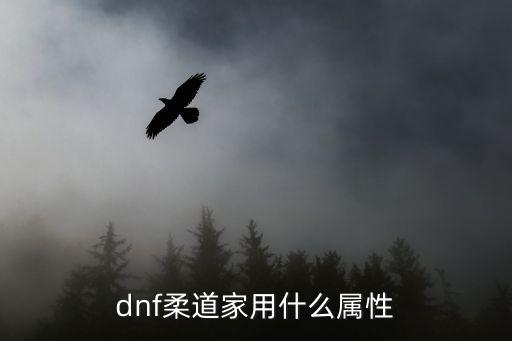 dnf柔道家用什么属性