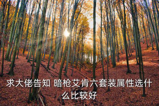 求大佬告知 暗枪艾肯六套装属性选什么比较好