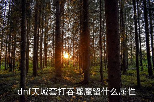 dnf天域套打吞噬魔留什么属性