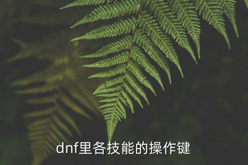 dnf里各技能的操作键