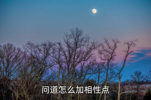 问道怎么加相性点
