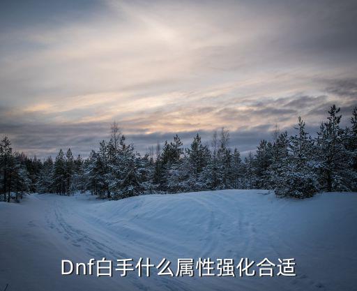 Dnf白手什么属性强化合适