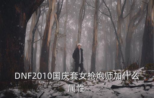 DNF2010国庆套女枪炮师加什么属性