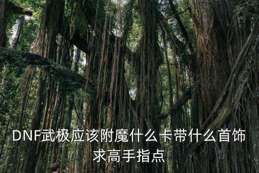 DNF武极应该附魔什么卡带什么首饰求高手指点