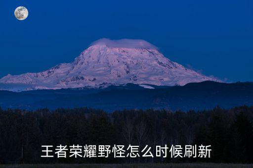 王者荣耀野怪新皮肤怎么关，王者荣耀怎么关闭皮肤修改器急急急