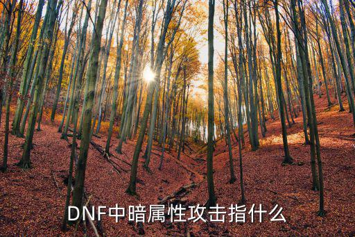 dnf 什么是暗属性攻击，DNF里4047级里的怪哪些是暗属性攻击