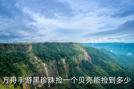 方舟手游黑珍珠捡一个贝壳能捡到多少