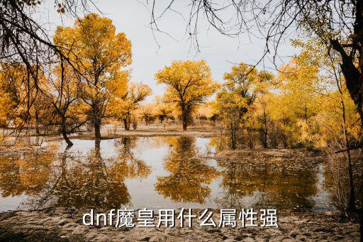 dnf魔皇推什么属性，dnf魔皇用什么属性强