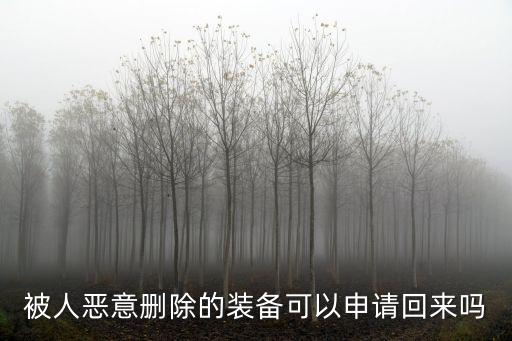 被人恶意删除的装备可以申请回来吗