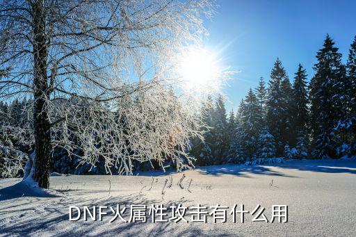 DNF火属性攻击有什么用