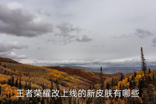 王者荣耀新勇士皮肤有哪些，王者荣耀有什么新人物和新皮肤要出来