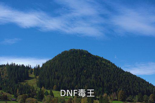 DNF毒王