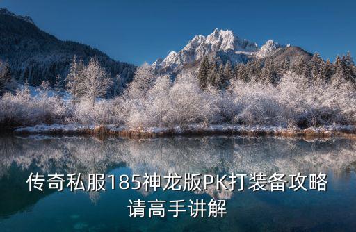 185传奇3d版手游怎么打反伤，传奇私服185神龙版PK打装备攻略请高手讲解