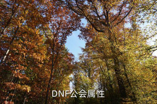 dnf公会属性用什么购买，地下城与勇士新版工会属性120怎么买