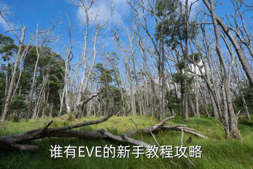 eve手游合同交易税怎么降，EVE新手困惑