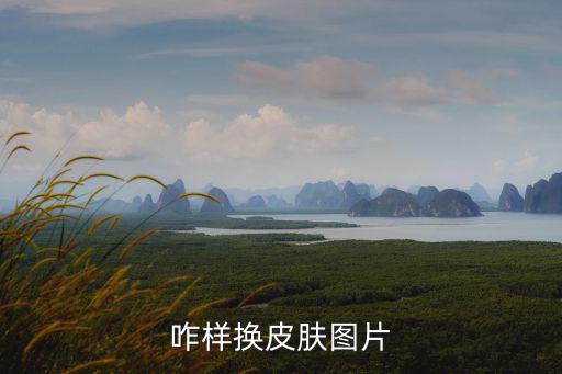 怎么弄王者荣耀新皮肤图片，咋样换皮肤图片
