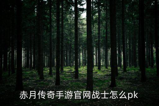 赤月传奇手游官网战士怎么pk