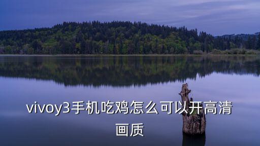 怎么玩高清吃鸡手游，大佬们华为p40 8256 打吃鸡可以开超高清吗