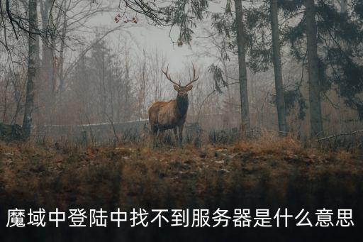 魔域中登陆中找不到服务器是什么意思