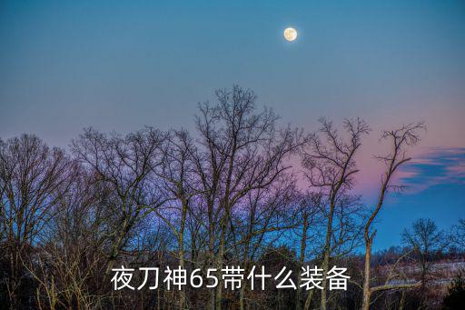 夜刀神65带什么装备