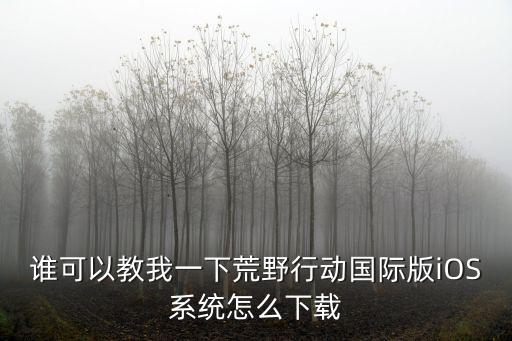 国际版手游苹果系统怎么下载，iphone系统手机游戏攻略如何下载感谢大家的帮助