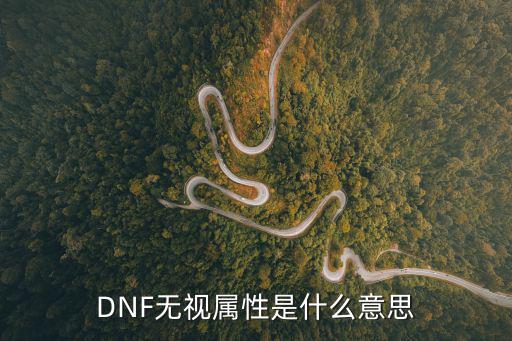 DNF无视属性是什么意思