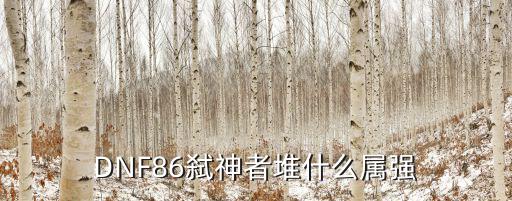 DNF86弑神者堆什么属强