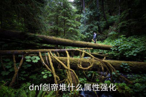 dnf剑豪打什么属性好，dnf剑豪装扮属性怎么选择