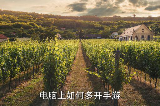 怎么在电脑上连续多个手游登录，怎样在一台电脑上同时登录两个游戏帐号