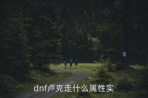 dnf卢克本堆什么属性，dnf卢克走什么属强好