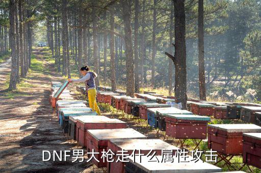 DNF男大枪走什么属性攻击